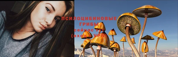 кокс Алзамай